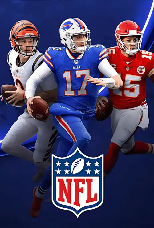 Never miss an NFL touchdown - Watch all games live in HD with your CatchOn TV IPTV subscription, including playoffs and Super Bowl!